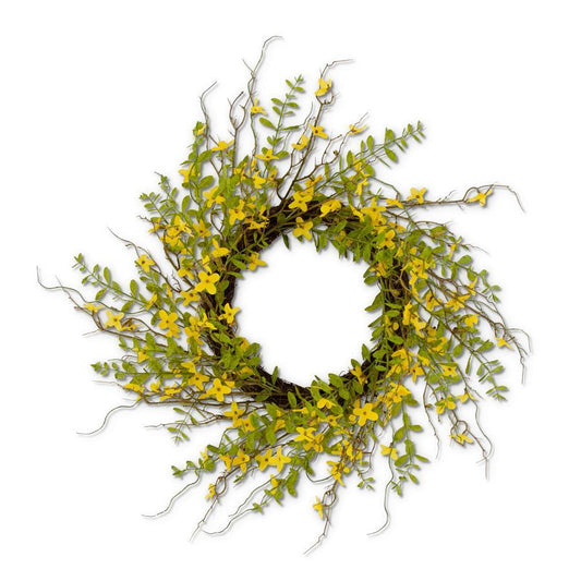 28" Forsythia Wreath w/Foliage