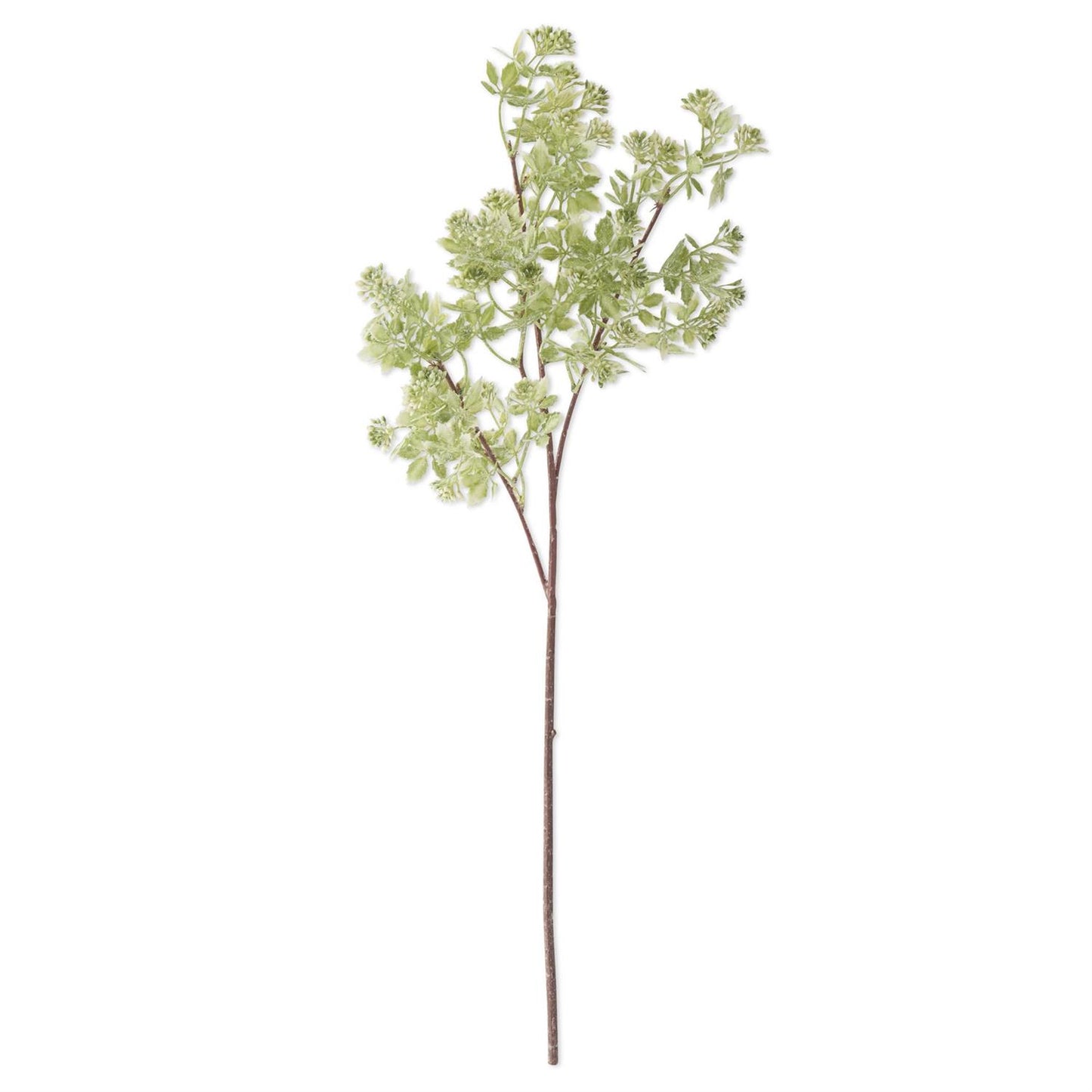 27" Hoary Cress White Bud Spray