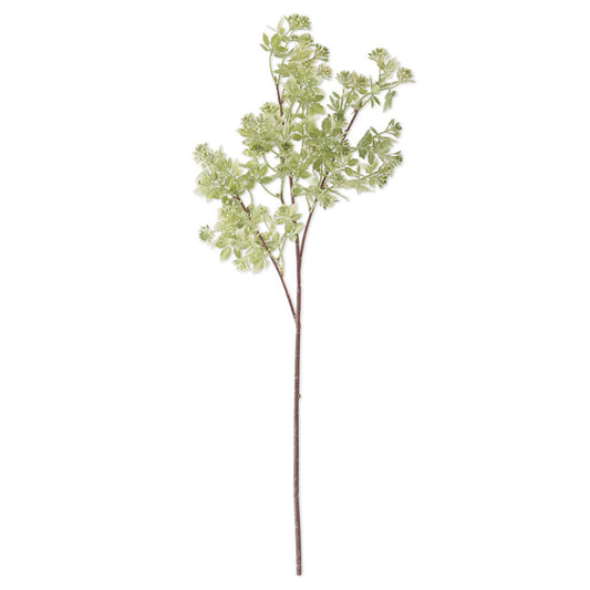 27" Hoary Cress White Bud Spray