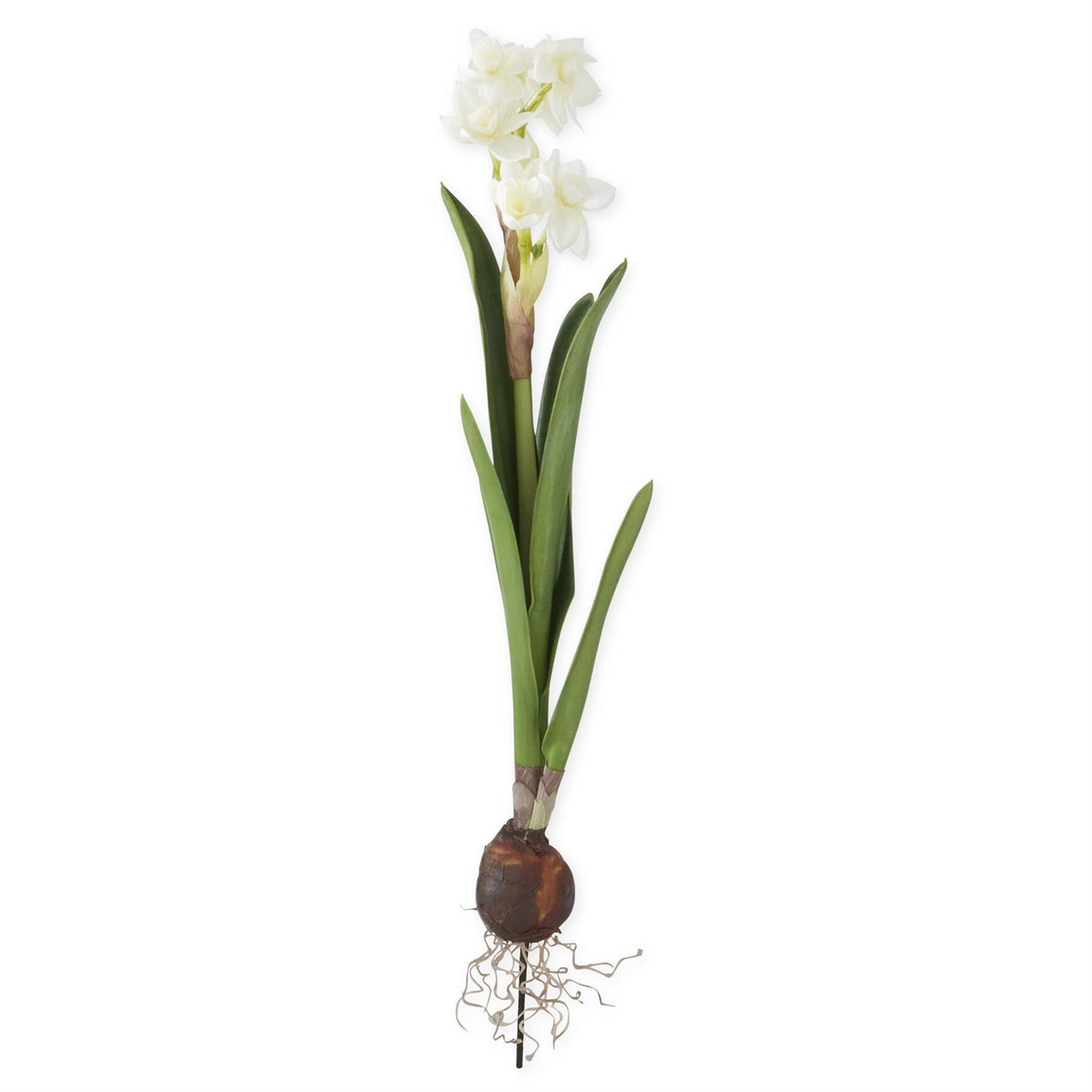 19.5" REAL TOUCH PAPERWHITES BULB PICK