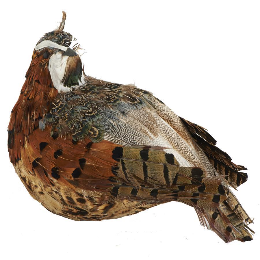 5" Brown and Green Feathered Quail