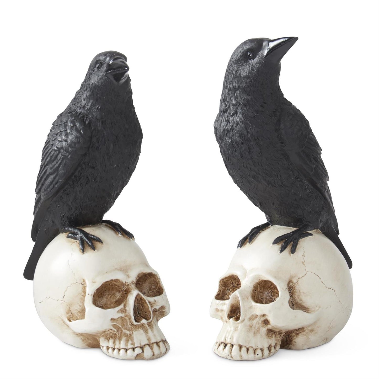 Black Resin Crows on Skulls