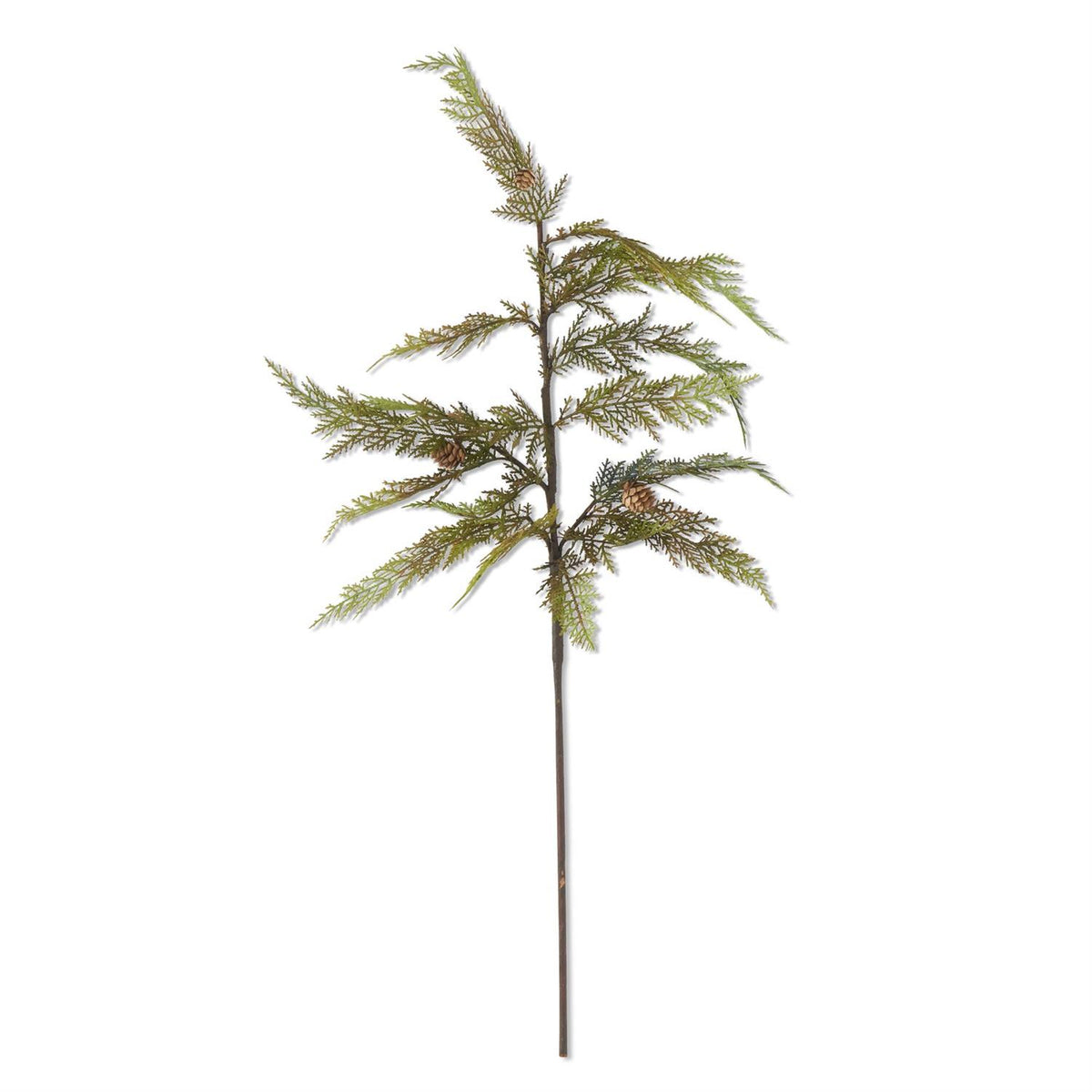 37" CYPRESS PINE STEM W/MINI PINECONES