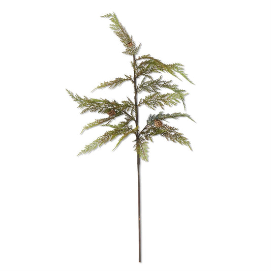 37" CYPRESS PINE STEM W/MINI PINECONES