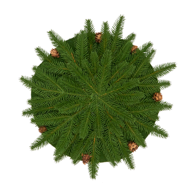 Pine Cone Placemat