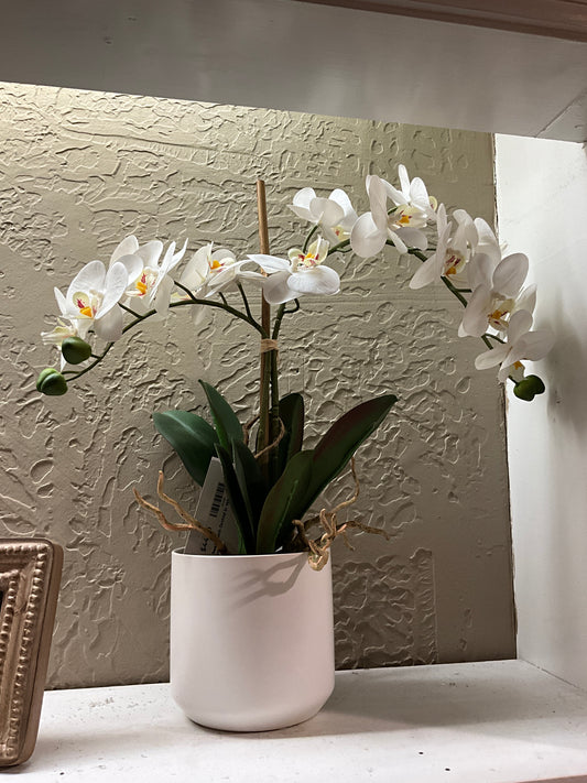 Real Touch Orchid in White Vase