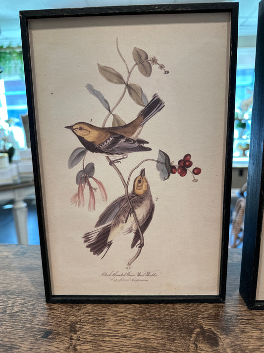 Bird & Flower Wall Décor