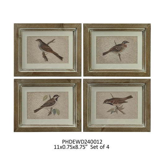 Bird Study Framed Prints, Set of 4