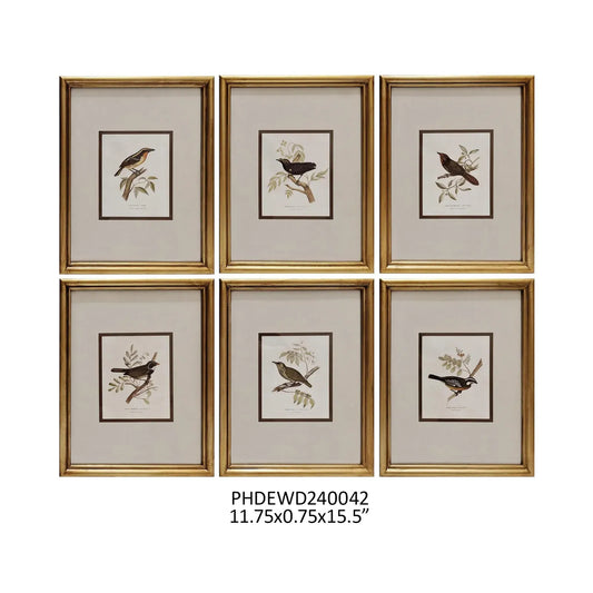 Bird Watcher Framed Collection Prints, Set of 6