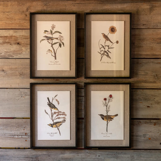 Bird and Botanical Prints, Set of 4
