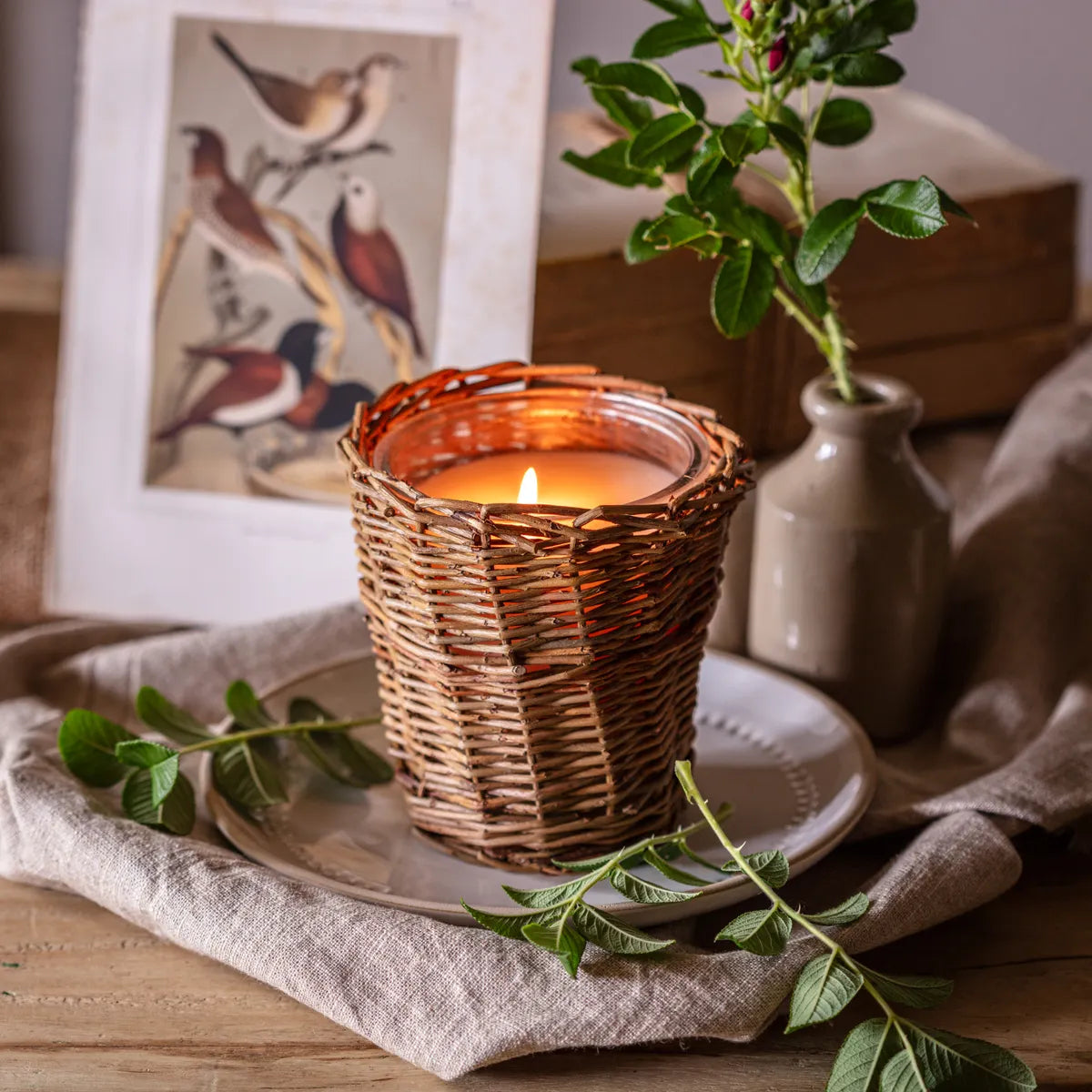 Willow Single Wick Candles