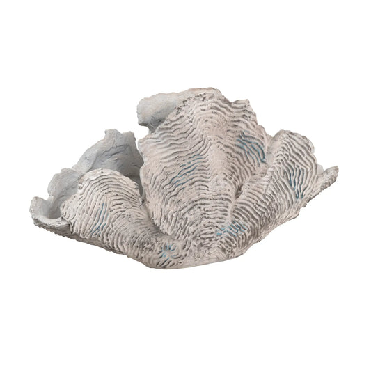 Deacon Coral Sculpture