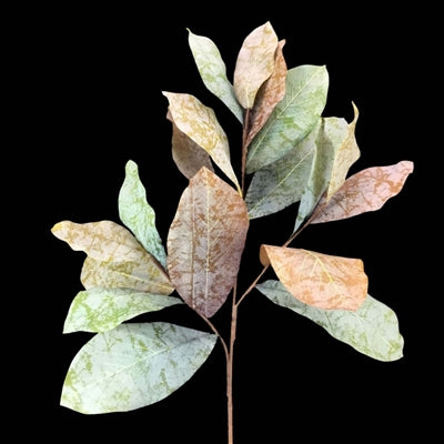 28" Magnolia Spray - Green Brown
