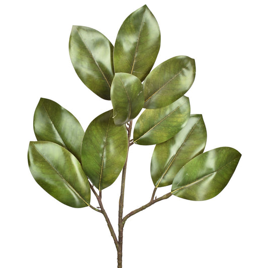 29” FRESH CUT MAGNOLIA LEAF SPRAY - GREEN