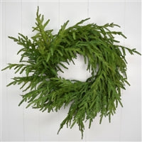24" Natural Touch Granch Norfolk Pine Wreath