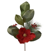 Royal Magnolia Berry Pick 25''