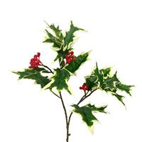 Cuttings Holly Berry Spray -Variegated 20"