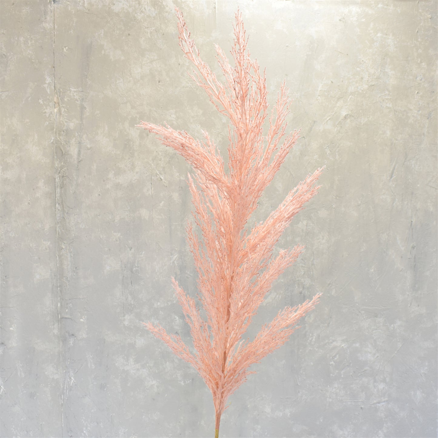 GRANDE PAMPAS GRASS STEM 53’’ - PINK