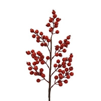Shiny Currant Berry Stem