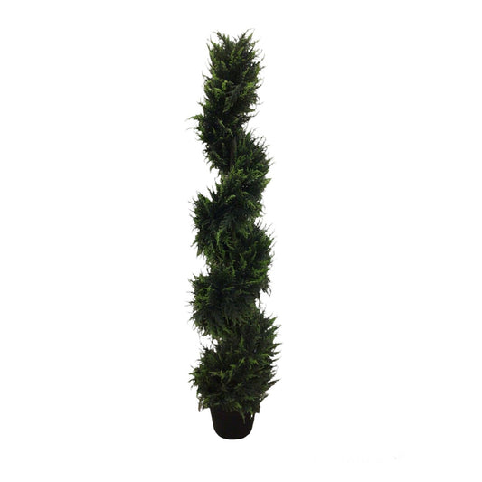 Spiral cedar Tree Potted 60"