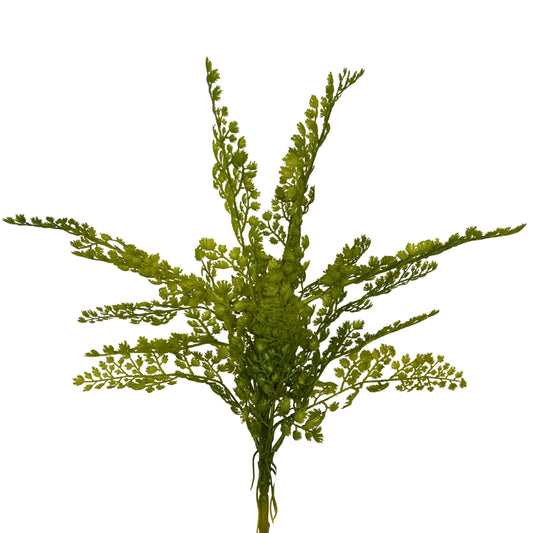 Maiden Hair Fern Bush 18'' - Green