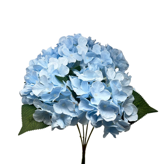 English Garden Hydrangea Bush -17''Blue