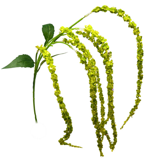 Hanging Amaranthus Spray 34'' Lime