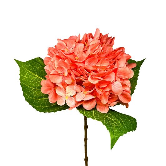 Full Garden Hydrangea Stem 21'' - Sherbet