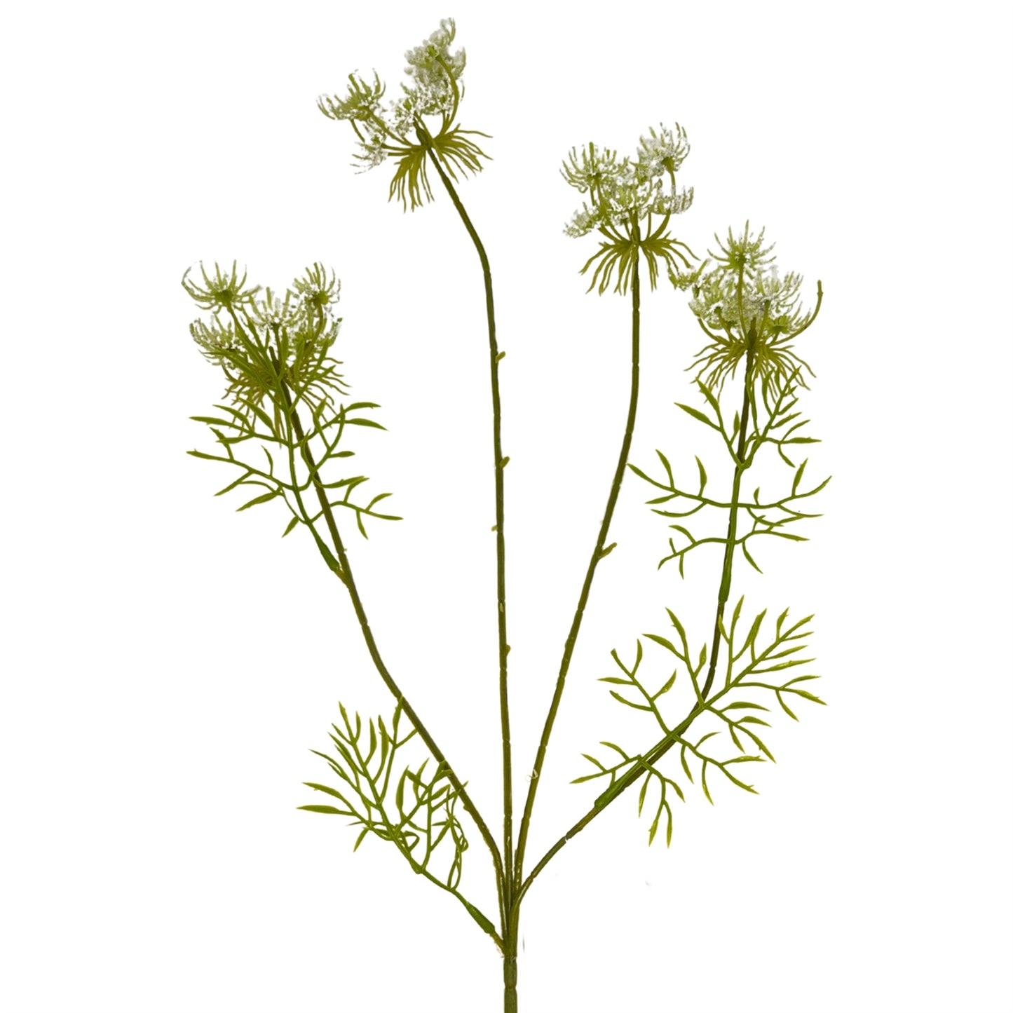 Queen Anne's Lace Spray 32'' - White