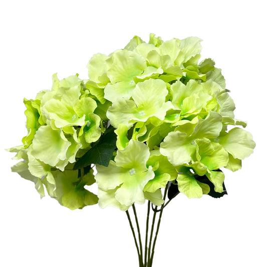 Cypress Garden Hydrangea Bush - 19” - Green