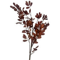 Asian Smilax Leaf Spray - Brown 43"