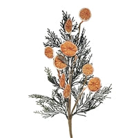Fern Orange Slice Spay 24"