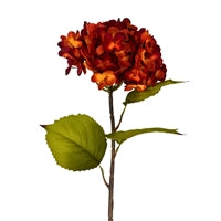 Meadows Hydrangea Spray - Dk Orange 27"
