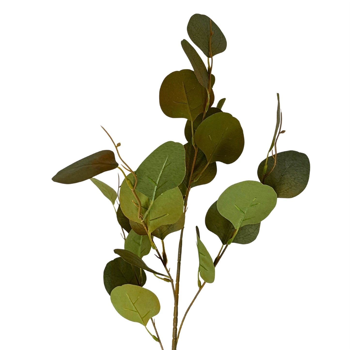 Earthy Eucalyptus Stem  33'' - Green