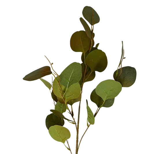 Earthy Eucalyptus Stem  33'' - Green