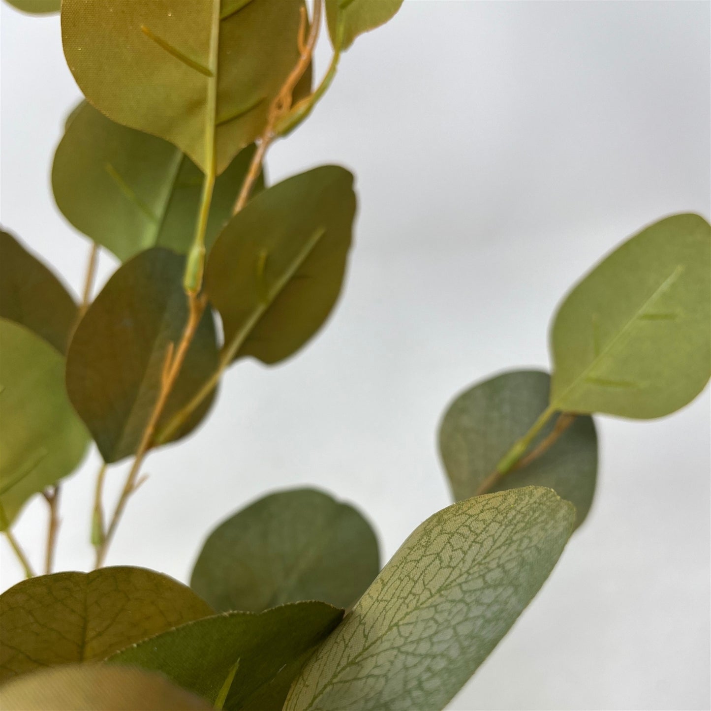 Earthy Eucalyptus Stem  33'' - Green