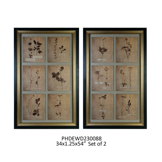 Grand Estate Botanical Prints, Set of 2