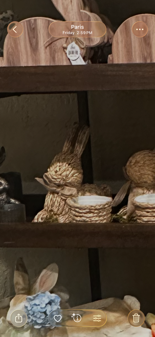 10.5" Natural Basketweave Bunny with Basket