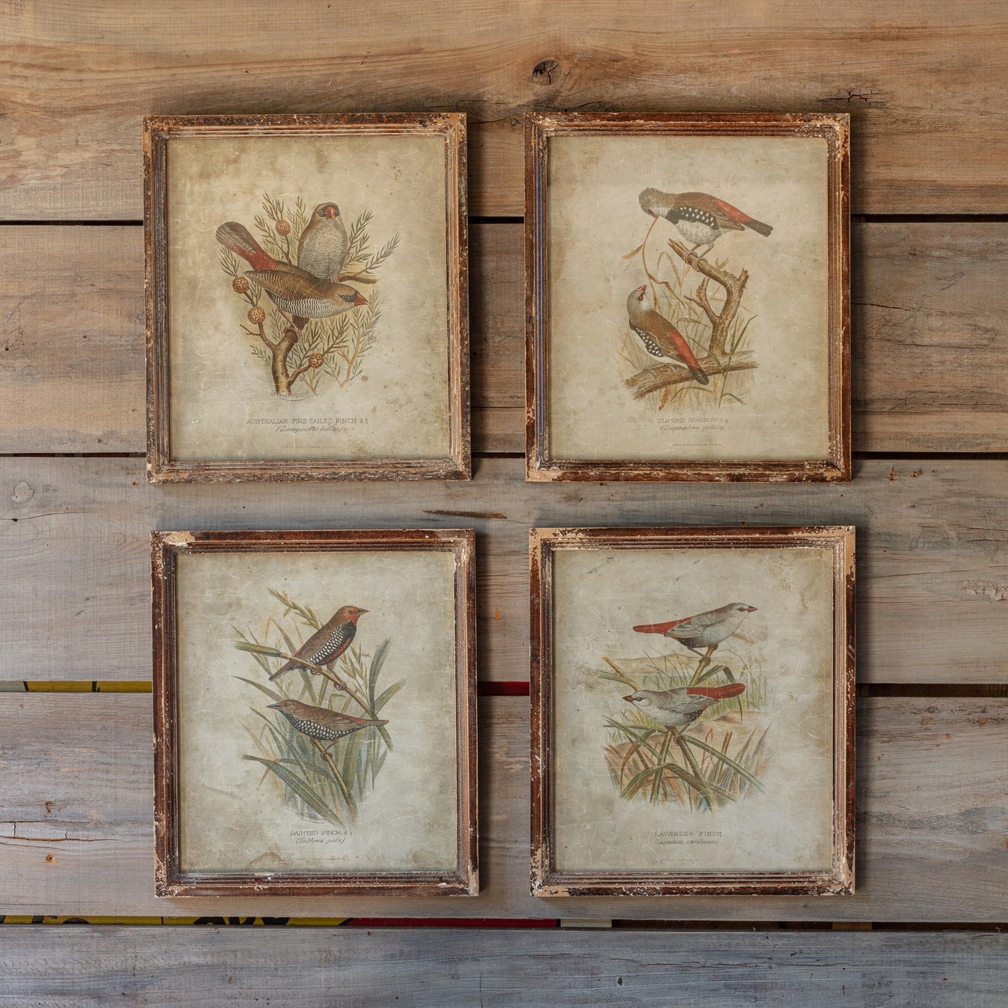 Birds in the Field Print S/4