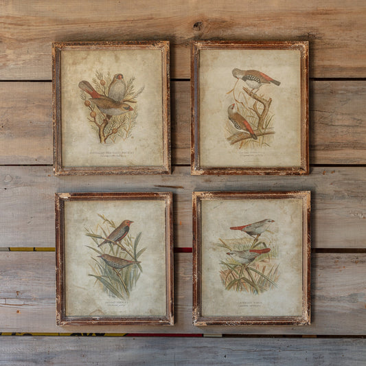 Birds in the Field Print S/4