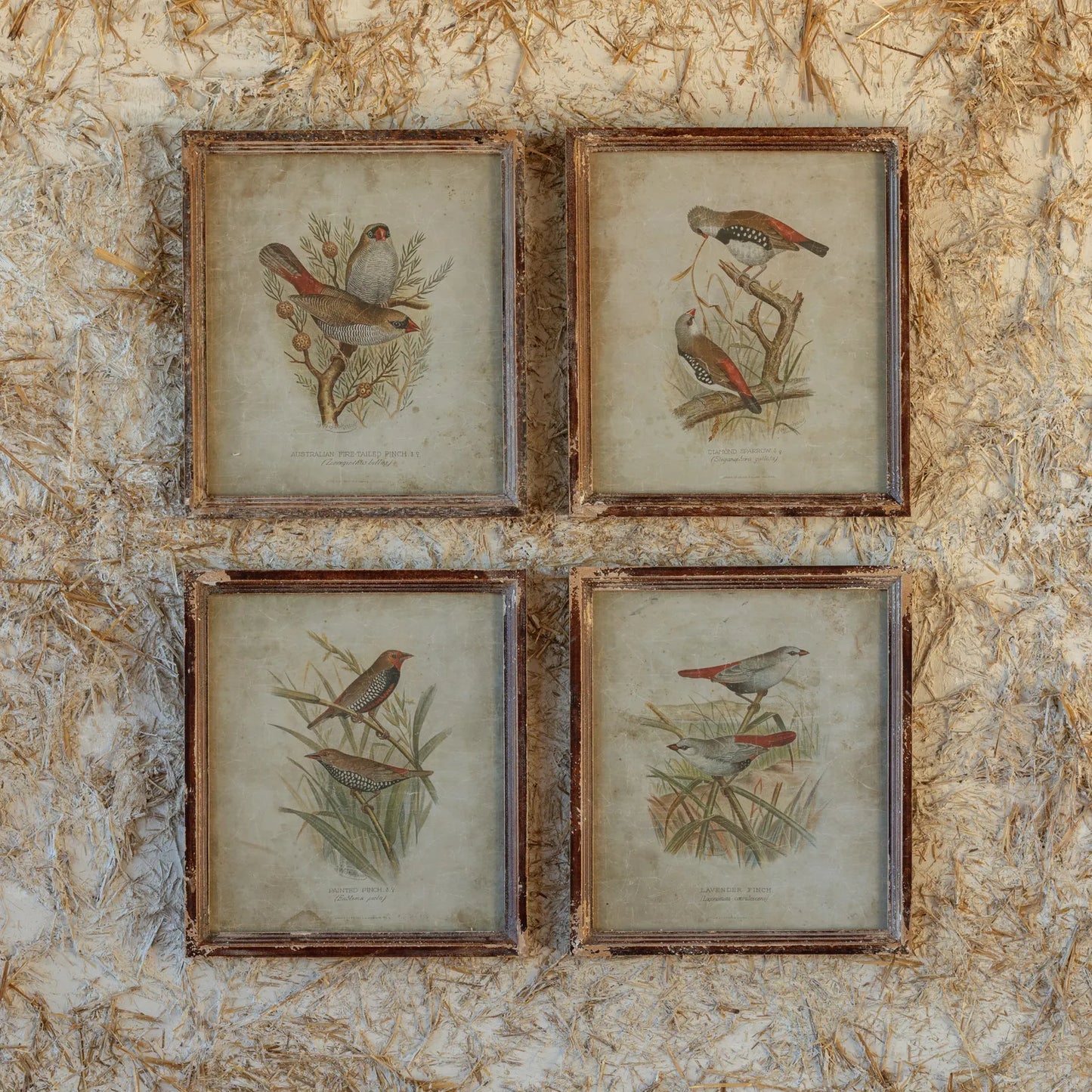 Birds in the Field Print S/4