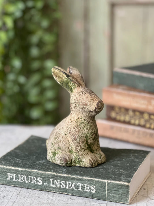 Tilly Rabbit - Sitting