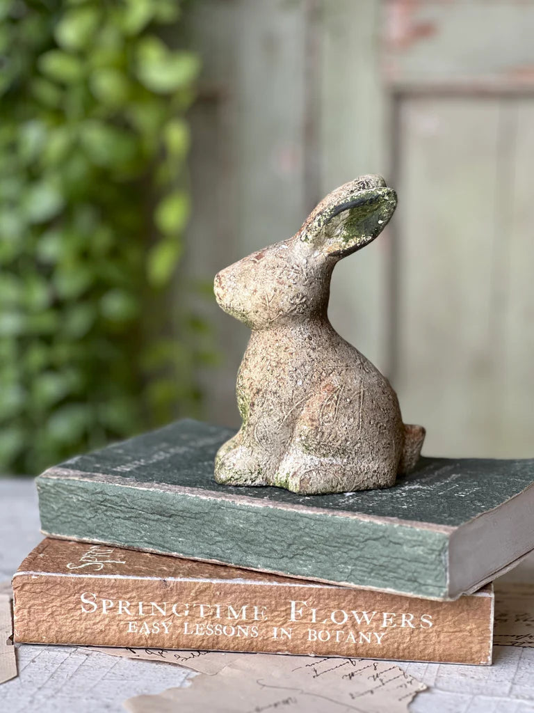 Tilly Rabbit - Sitting