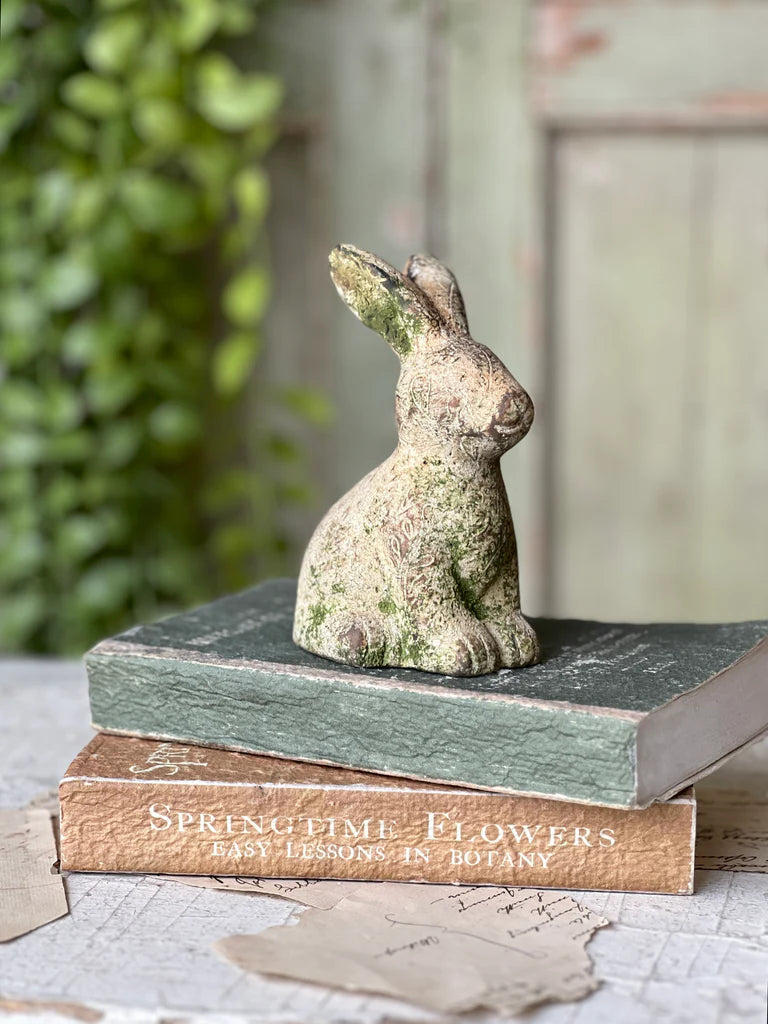 Tilly Rabbit - Sitting
