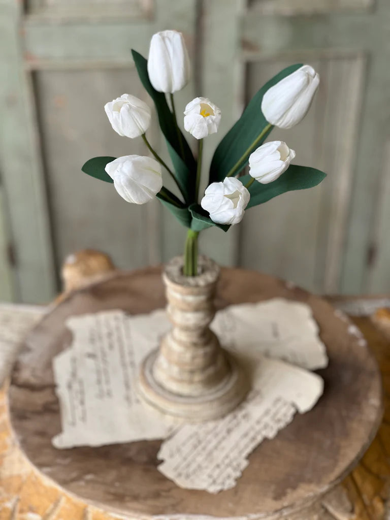 Triumph Tulip Bundle - White