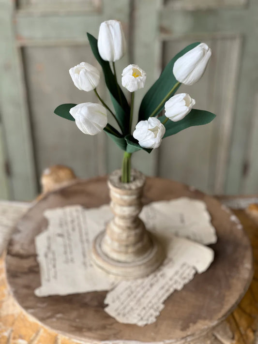 Triumph Tulip Bundle - White