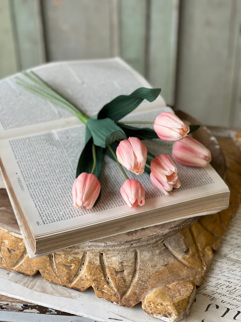 Triumph Tulip Bundle - Sorbet