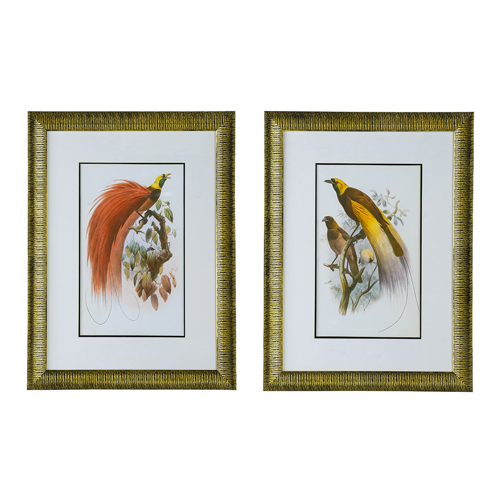 Birds Wall Arts