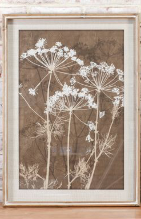 Botanical Wall Art