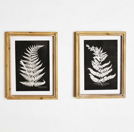 Fern Wall Art